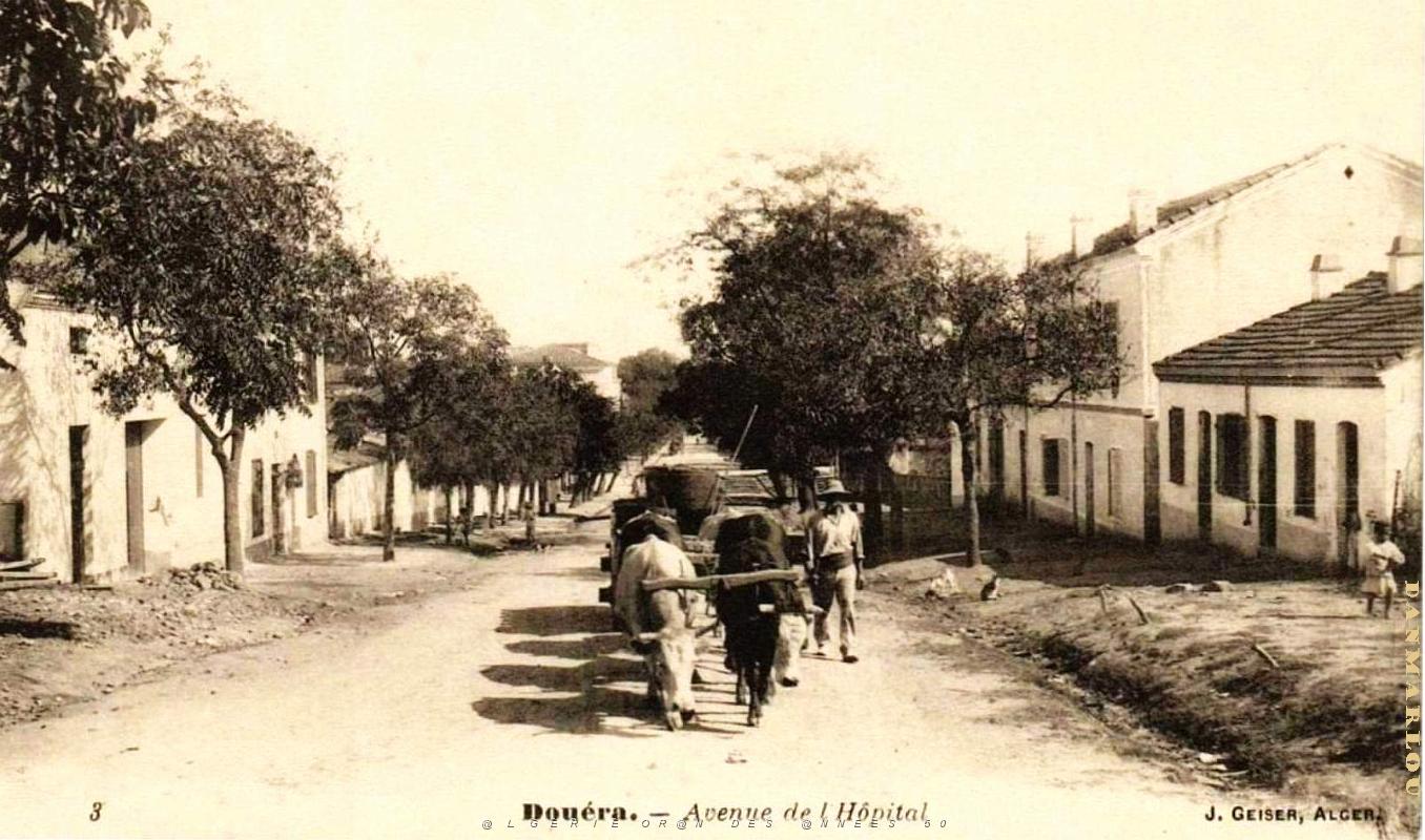 Douera - Avenue de l'Hopital .jpg